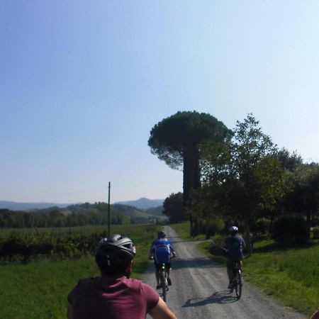 Podere Ripi 渥尔特拉 外观 照片