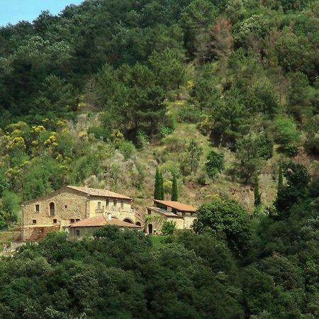 Podere Ripi 渥尔特拉 外观 照片