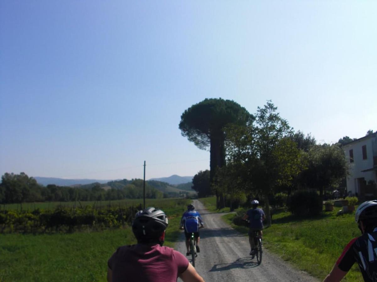 Podere Ripi 渥尔特拉 外观 照片