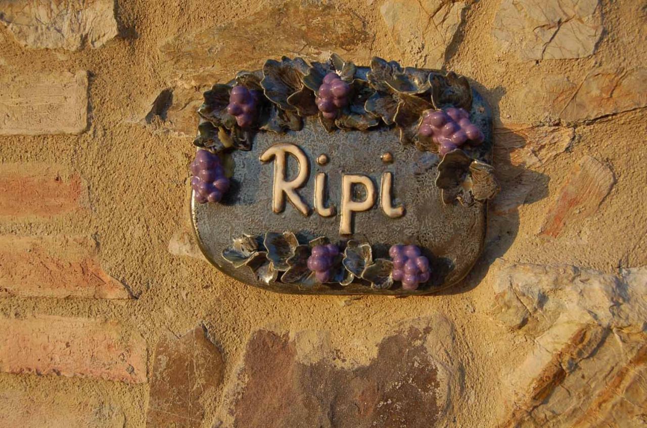 Podere Ripi 渥尔特拉 外观 照片