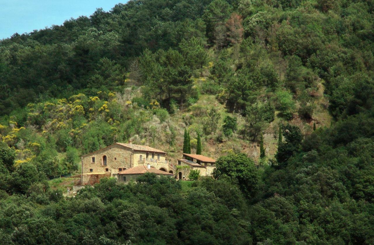 Podere Ripi 渥尔特拉 外观 照片