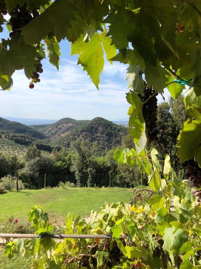 Podere Ripi 渥尔特拉 外观 照片